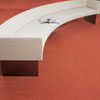 Pure lines collectie