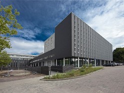 Perspekta bandraster