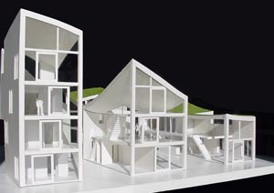 model NL