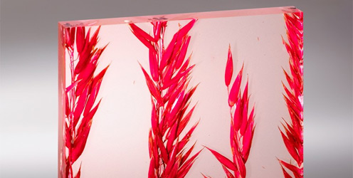 Versato� Nature 