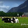 Wiskundigen: die berg kan er komen
