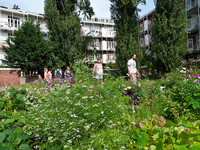 'Meer groen in stad bespaart op zorgbudget'