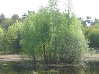 Voor half miljoen geboden op natuurgebied