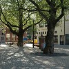 Den Haag Kerkplein