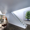 Body House