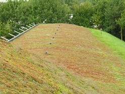 Zoutloods RWS