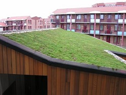Bijenberg