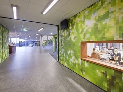 wallcovering bladerdek Sterrencollege
