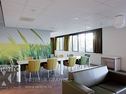 GGZ Delfland , fotobehang op wanden