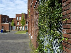 Kruidenbuurt