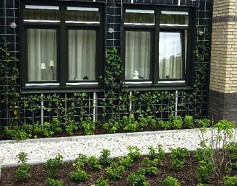 Groengevel Woonvoorziening Philadelphia