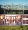 Glastuinbouw