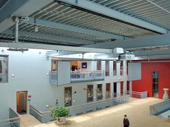 The International School The Hague