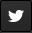 Social twitter